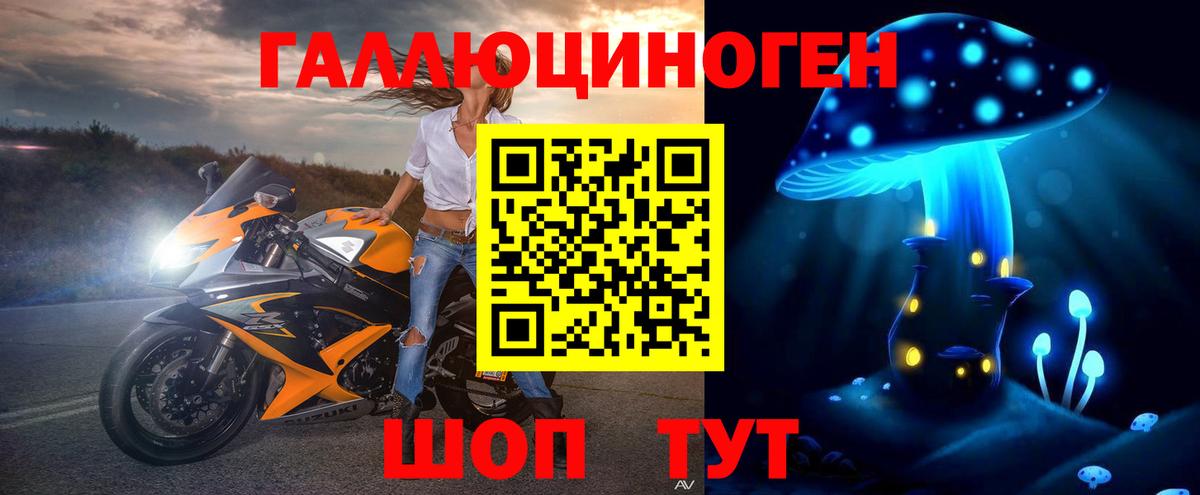 цены   Псилоцибиновые грибы Cubensis  Вход с VPN  Гулькевичи 
